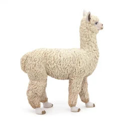 PAPO INTERNATIONAL INC. Alpaca Fashion