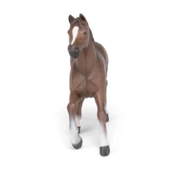PAPO INTERNATIONAL INC. Anglo-Arab Mare Discount