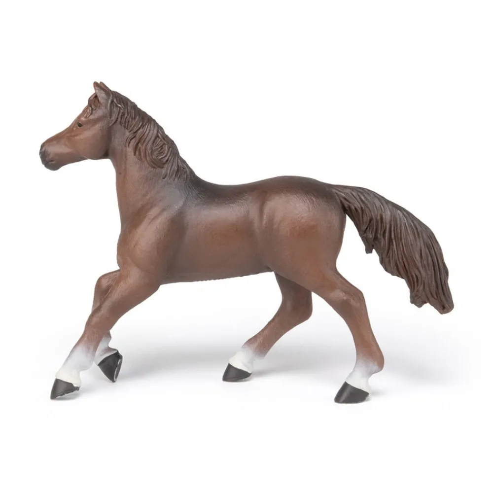 PAPO INTERNATIONAL INC. Anglo-Arab Mare Discount