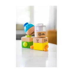 Playwell Enterprises Ltd. Baby Einstein Four Fundamentals Wooden Sensory Set Sale