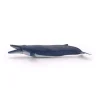 PAPO INTERNATIONAL INC. Blue Whale Sale