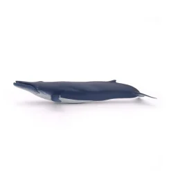 PAPO INTERNATIONAL INC. Blue Whale Sale