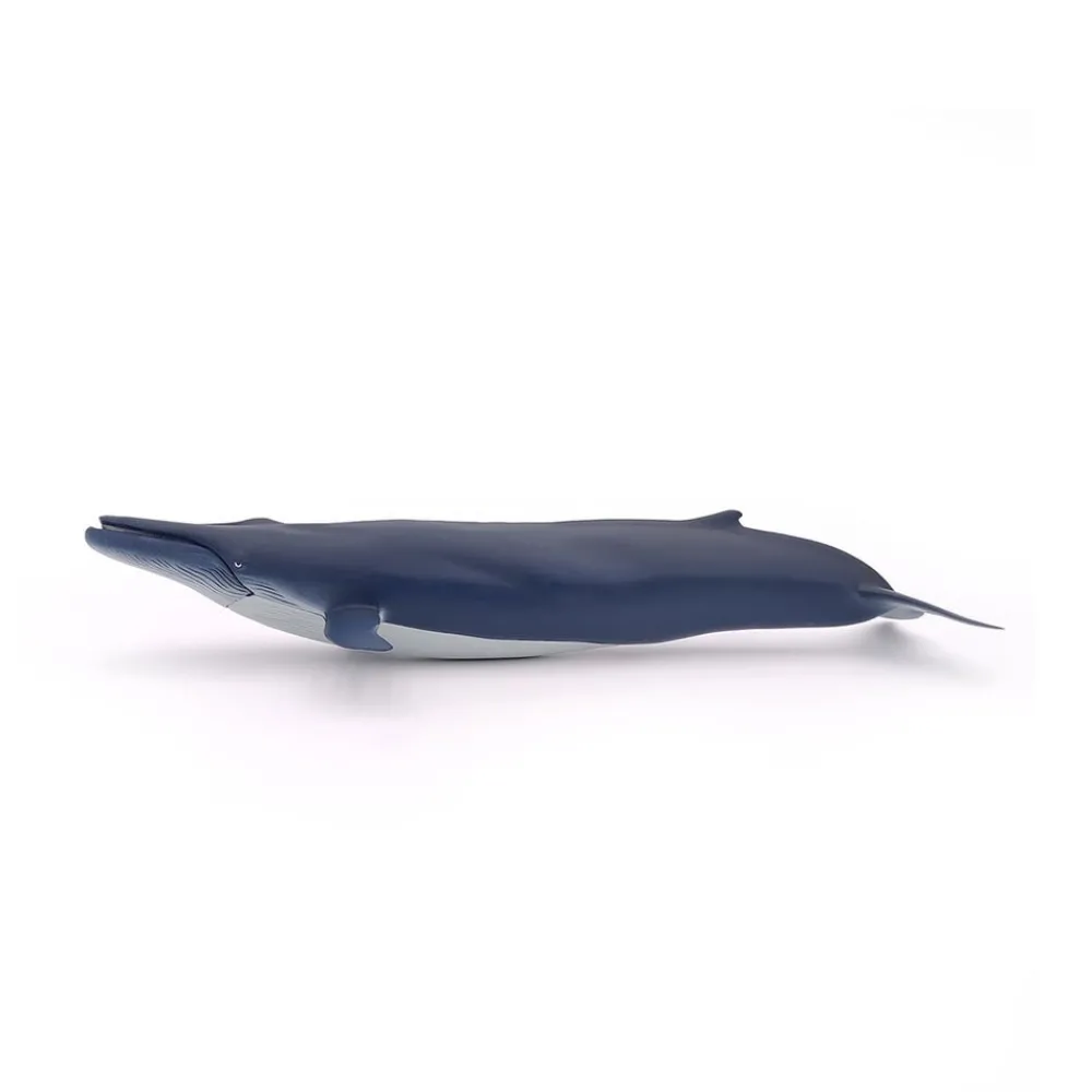 PAPO INTERNATIONAL INC. Blue Whale Sale