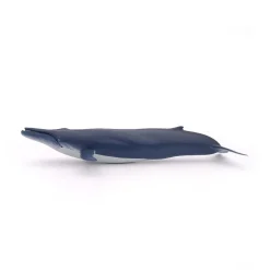 PAPO INTERNATIONAL INC. Blue Whale Sale