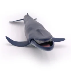PAPO INTERNATIONAL INC. Blue Whale Sale