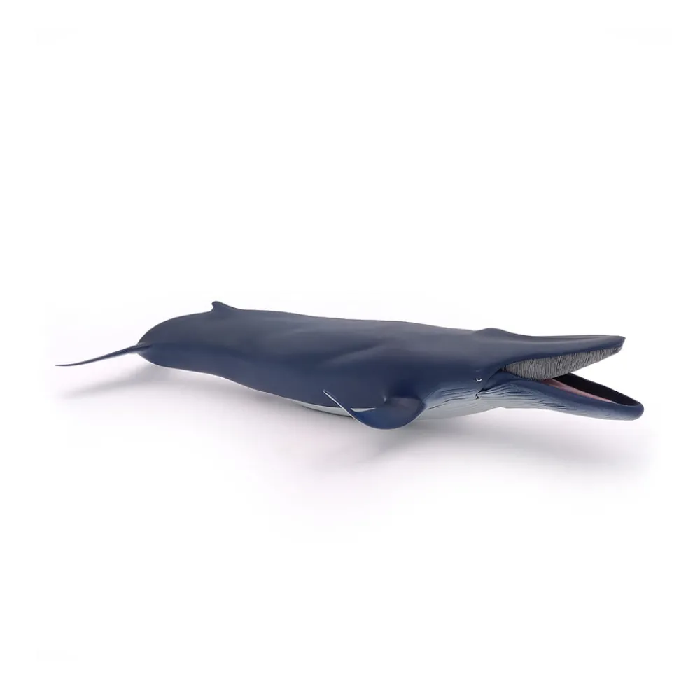 PAPO INTERNATIONAL INC. Blue Whale Sale