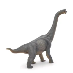 PAPO INTERNATIONAL INC. Brachiosaurus Clearance