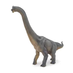 PAPO INTERNATIONAL INC. Brachiosaurus Clearance