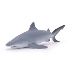 PAPO INTERNATIONAL INC. Bull Shark Sale
