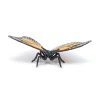 PAPO INTERNATIONAL INC. Butterfly Outlet