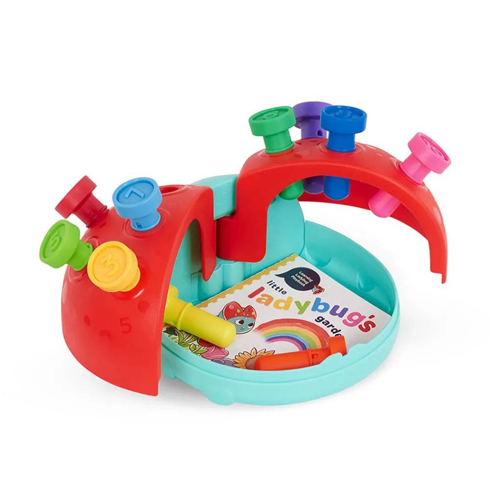 Branford Limited Count and Learn Ladybug Best