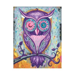 CreART Dreaming Owl Painting by Numbers 9.5x12