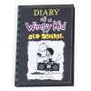 Hachette Book Group Diary of Wimpy Kid 10 Old School Sale