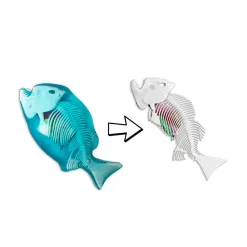 4378814 Canada Inc. / Red Planet Group Dissect It - Piranha Fashion