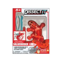 Mastermind Toys Dissect It - Salamander Fashion