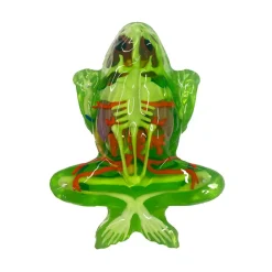 Dissect-It Frog Super Lab Hot
