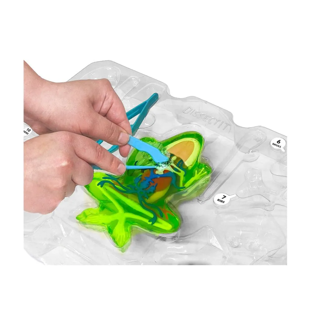 Dissect-It Frog Super Lab Hot