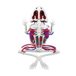 Dissect-It Frog Super Lab Hot