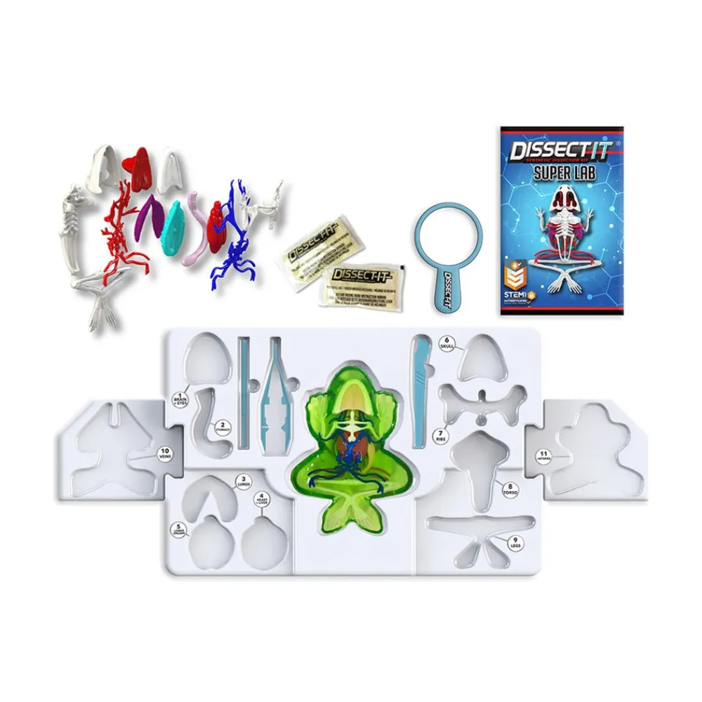 Dissect-It Frog Super Lab Hot