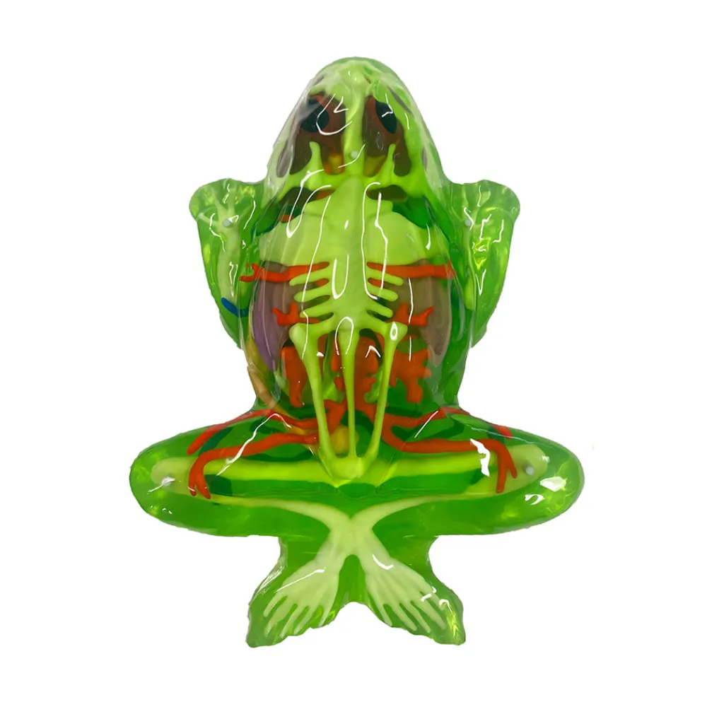 Dissect-It Frog Super Lab Hot
