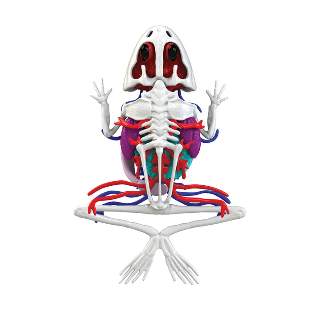 Dissect-It Frog Super Lab Hot