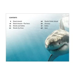 Mastermind Toys DK Super Readers Level 4 Shark Attack Book Clearance