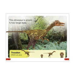 Mastermind Toys DK Super Readers Pre-Level Meet the Dinosaurs Book Clearance