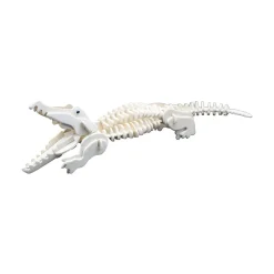 Wild Science Extreme Crocodiles of the World Hot