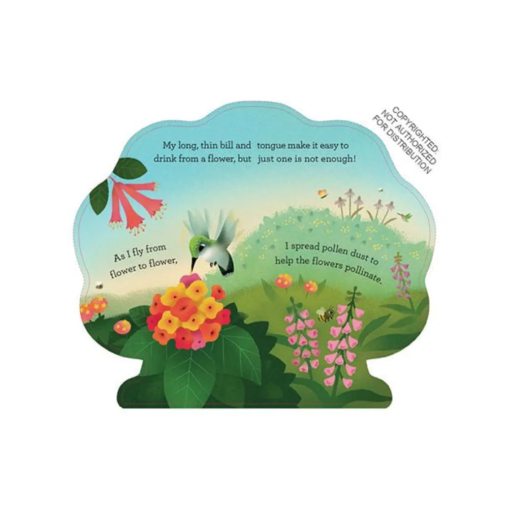 Raincoast Book Distr. Ltd. Hello Hummingbirds Read and play in the tree! Discount