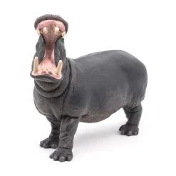PAPO INTERNATIONAL INC. Hippopotamus Outlet