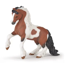 PAPO INTERNATIONAL INC. Irish Cob Fashion
