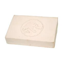 Thames & Kosmos Jurassic World Dom. Dino Dig - Blue T. Rex Amber Sale