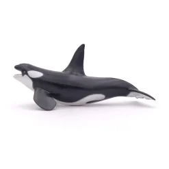 PAPO INTERNATIONAL INC. Killer Whale Hot