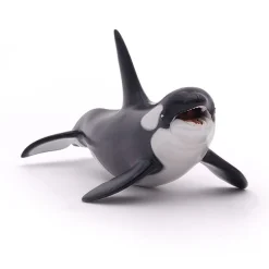 PAPO INTERNATIONAL INC. Killer Whale Hot