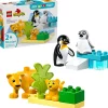 LEGO ® DUPLO® Wild Animal Families: Penguins 10442 Sale
