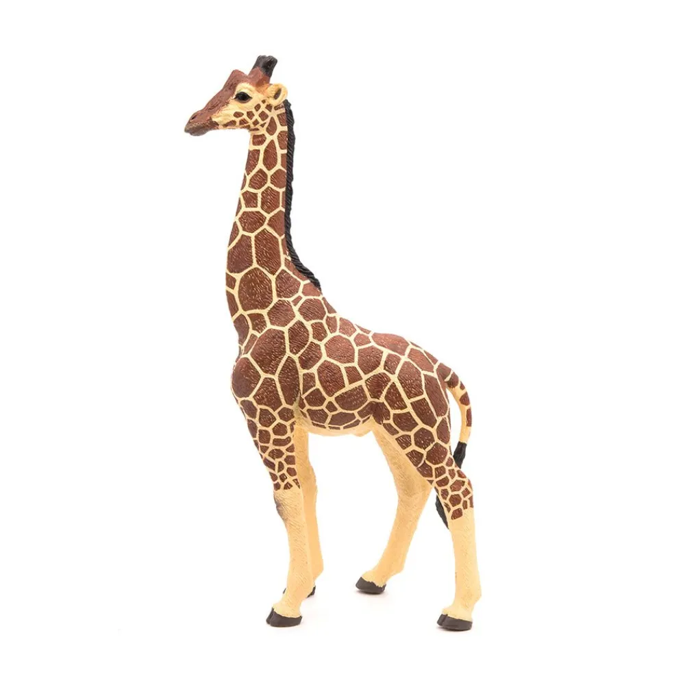 PAPO INTERNATIONAL INC. Male Giraffe New