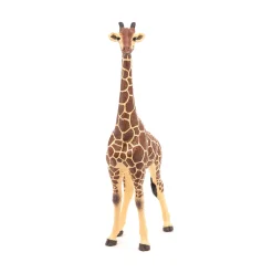 PAPO INTERNATIONAL INC. Male Giraffe New