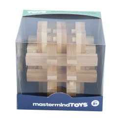 MI Toys International Ltd Mastermind Toys 3D Bamboo Lock Up Puzzle Discount