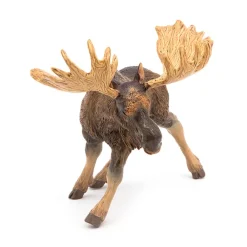PAPO INTERNATIONAL INC. Moose New
