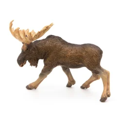 PAPO INTERNATIONAL INC. Moose New