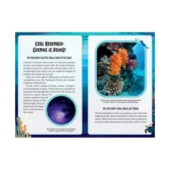 Mastermind Toys Mystery at the Aquarium Online