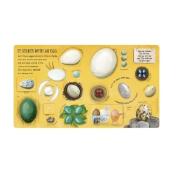 Mastermind Toys One Little Egg Exploring Nature for Curious Kids Book Outlet