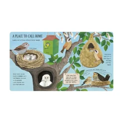 Mastermind Toys One Little Egg Exploring Nature for Curious Kids Book Outlet