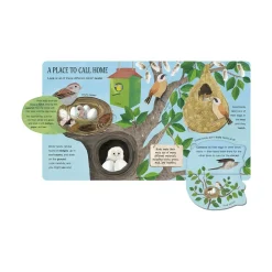 Mastermind Toys One Little Egg Exploring Nature for Curious Kids Book Outlet