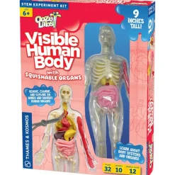 Thames & Kosmos Ooze Labs: Visible Human Body Hot