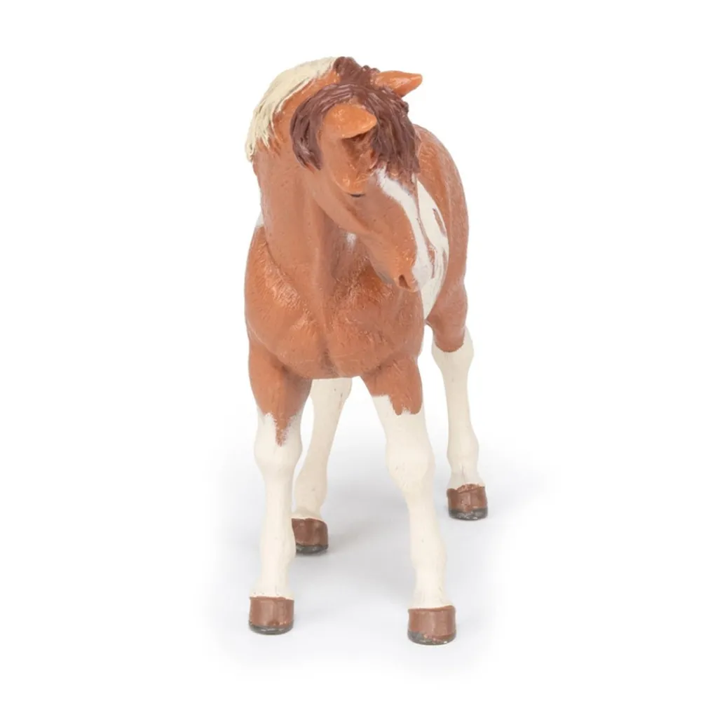 PAPO INTERNATIONAL INC. Pinto Mare Fashion