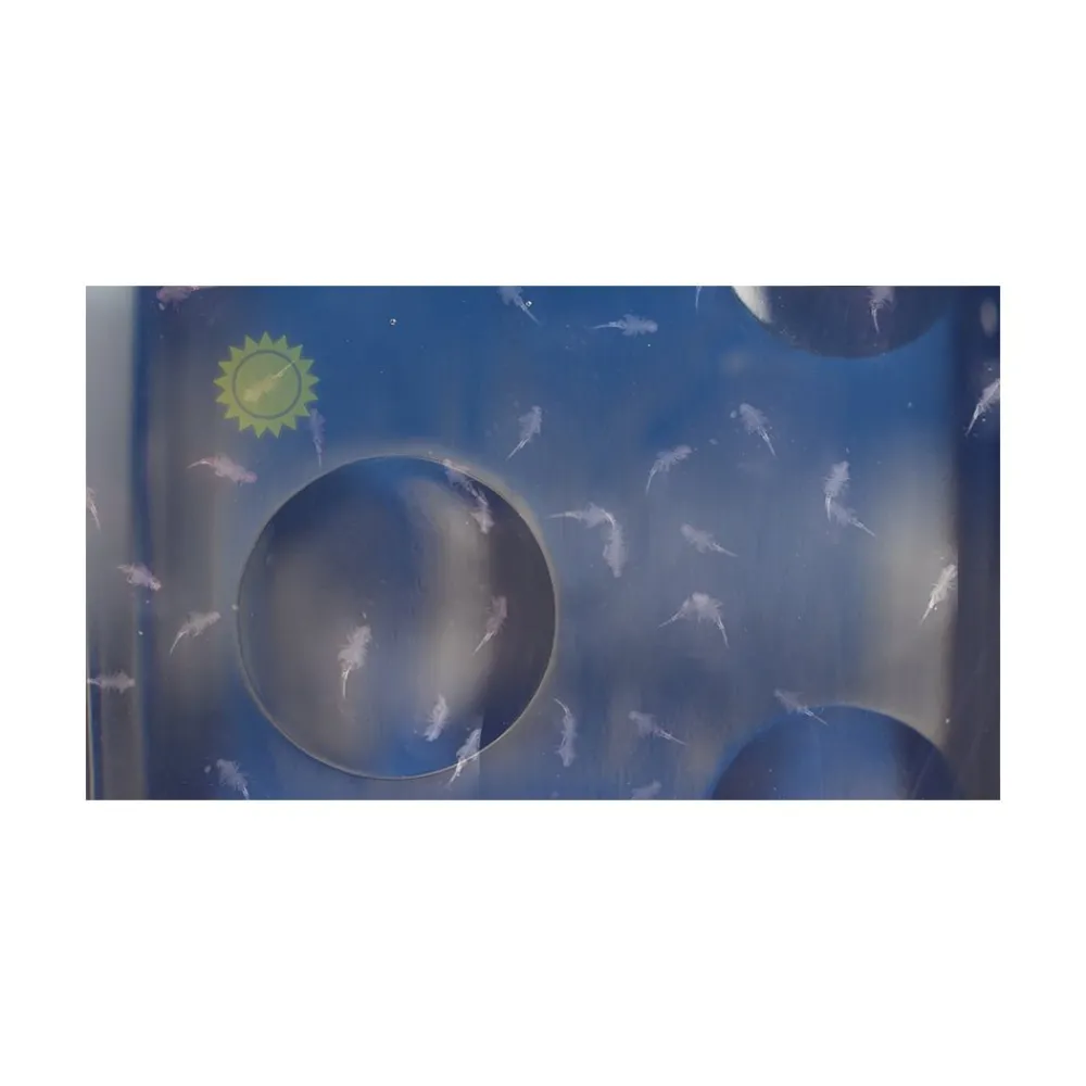 Sea Monkeys - MagicQuarium Discount