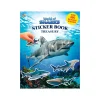 EDITIONS PHIDAL INC. Sharks Sticker Book Treasury Clearance