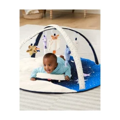 Skip Hop Celestial Dreams Activity Gym Online