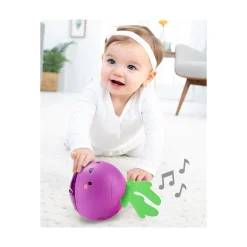Skip Hop Farmstand Beetbox Crawl Toy Online